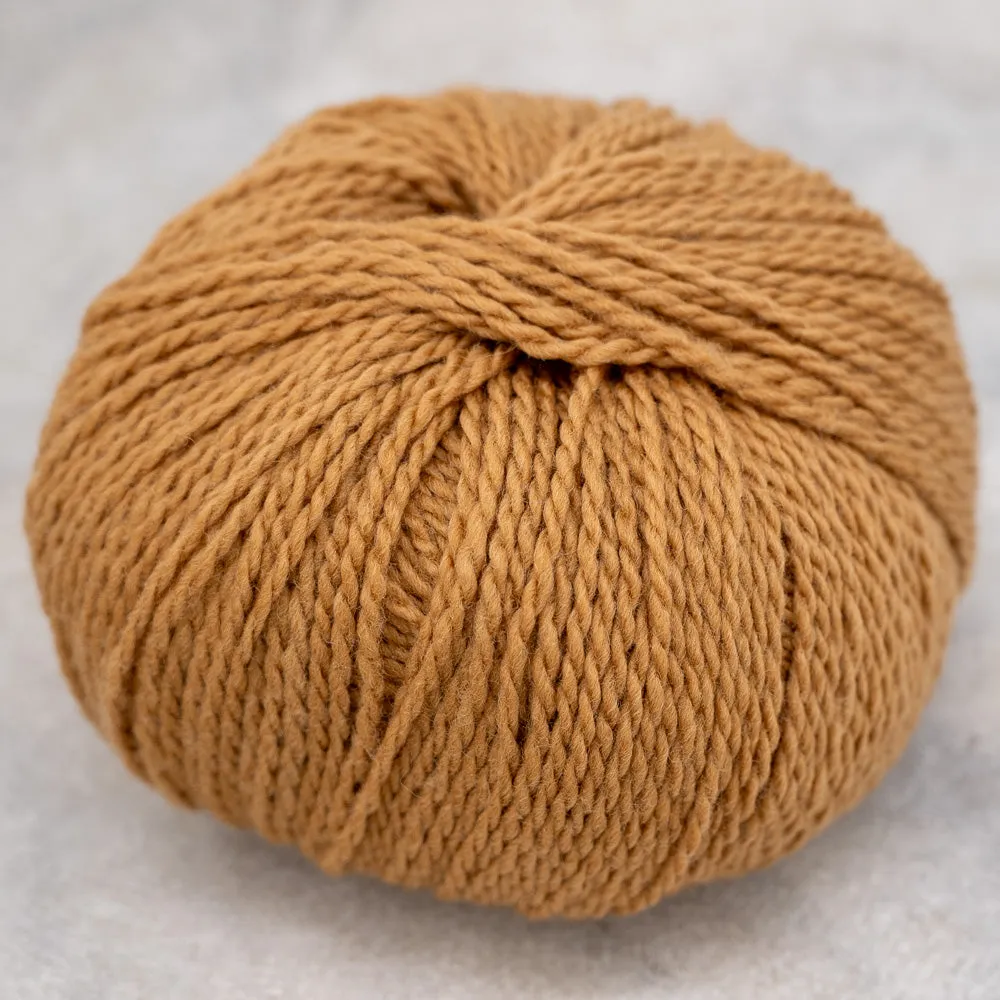 Pascuali Tibetan